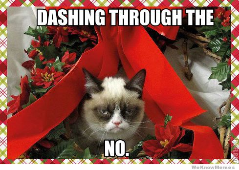 dashing through the no grumpy cat meme1 Gold Coast Digital Marketing Agency