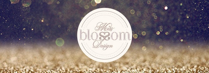 blossom 5 Gold Coast Digital Marketing Agency