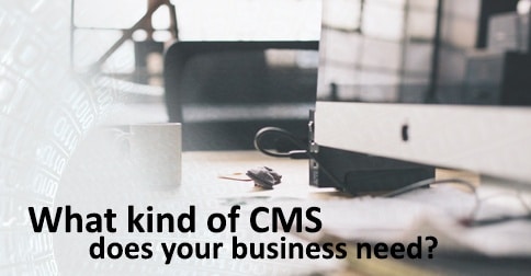 what kind of CMS does your business need 1 Gold Coast Digital Marketing Agency