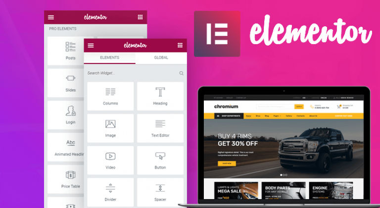 Elementor with WordPress