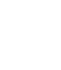 shopify-logo (2)