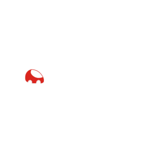 logo_0000s_0001_Cheapie-Car-Rental-Logo-White-Horizontal.png