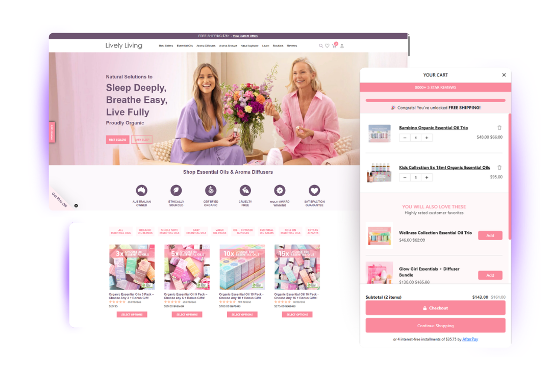 Our Solutions - E-Commerce Website Builds