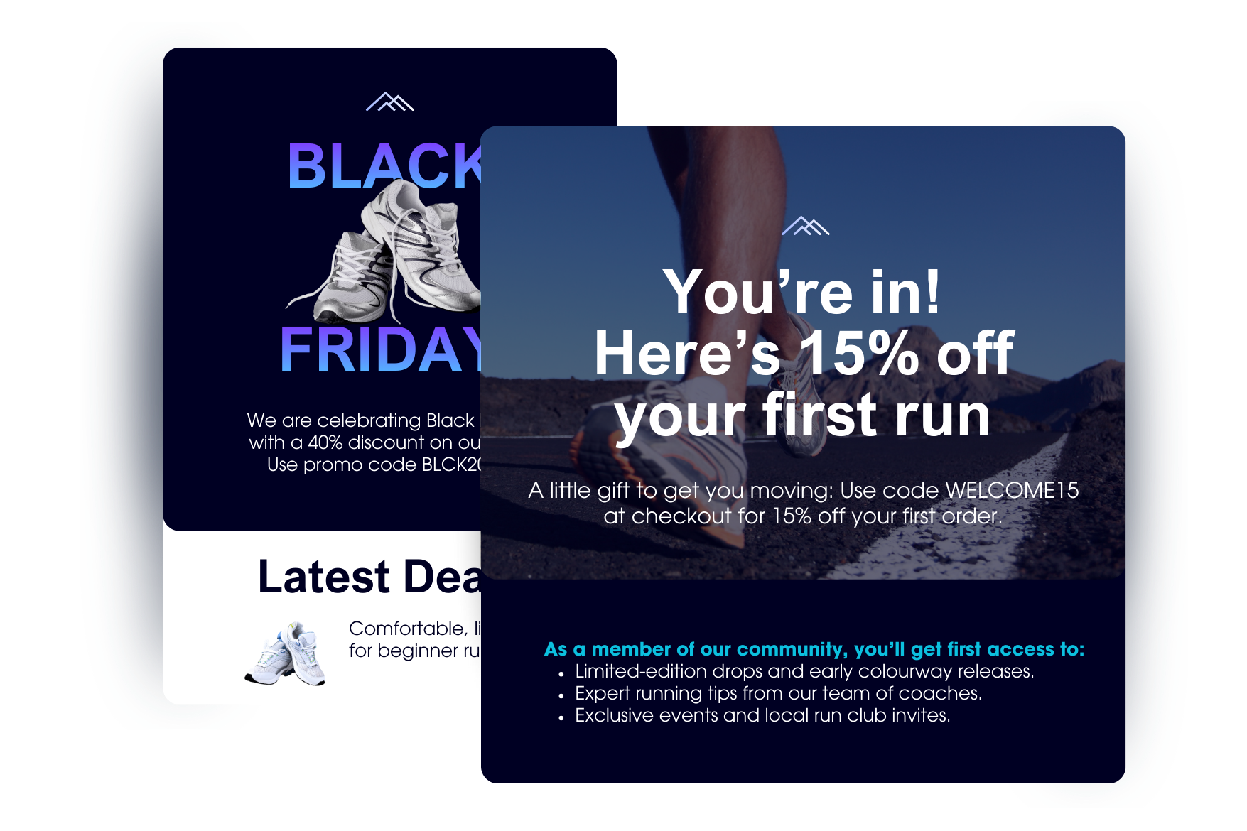 Email Marketing Services - Email Blasts