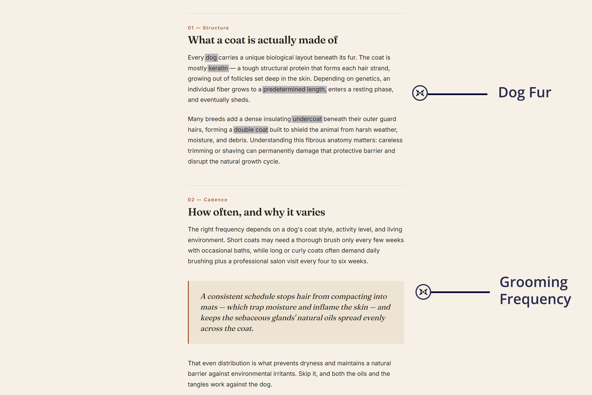 Examples of semantic centroids in an article about dog grooming.
