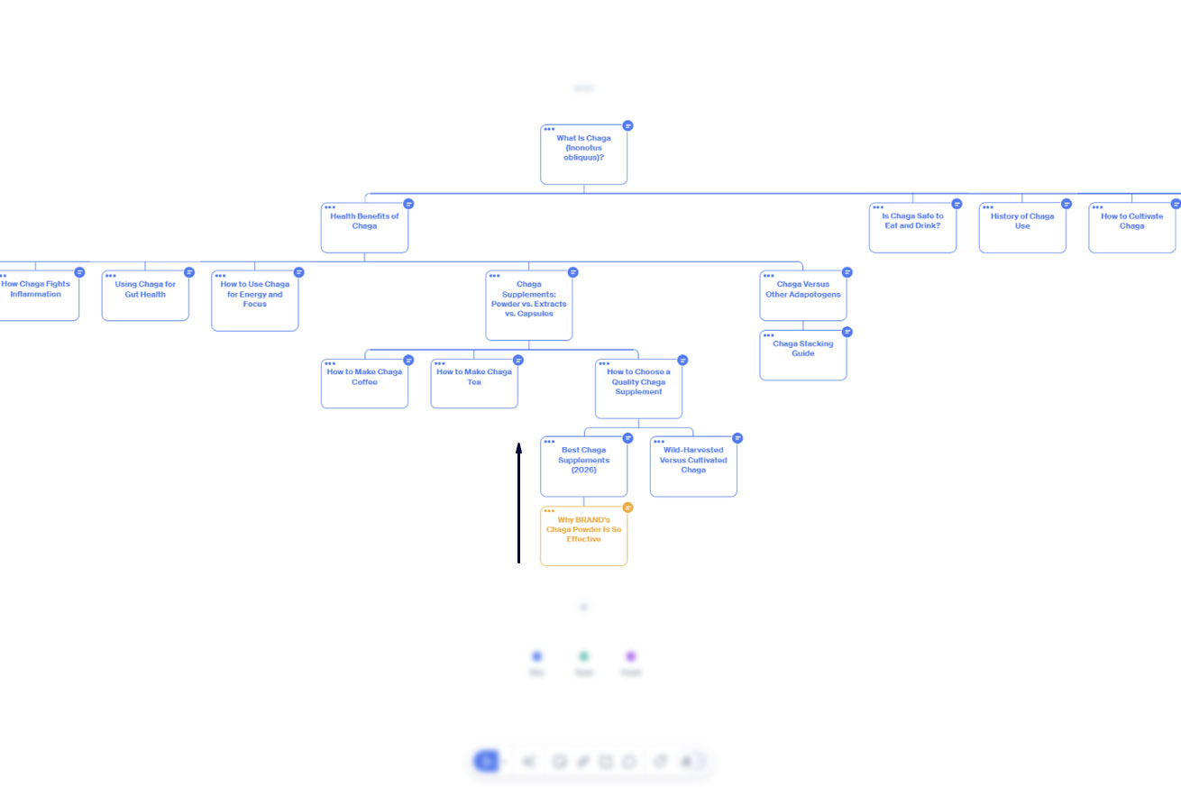 A visual content map with the starting point for a content cluster highlighted.